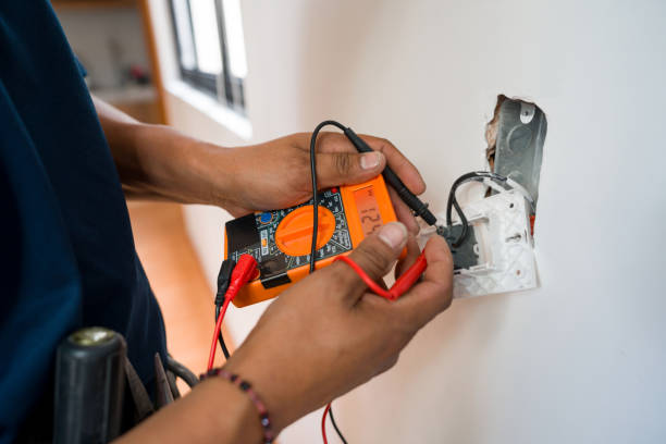 Best Ceiling Fan Installation Electrician  in Donna, TX
