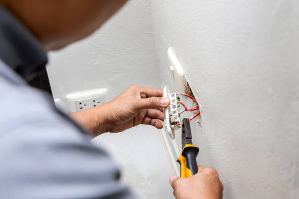 Best Home Electrical Repair  in Donna, TX